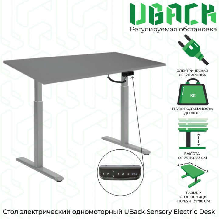 Письменный стол с электрорегулировкой Sensory Electric Desk